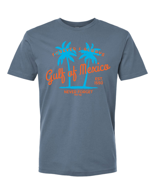Gulf of Mexico Gulf Coast t-shirt in heather blue jean