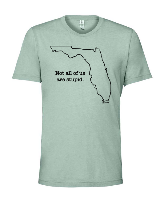"Not All of Us Are Stupid" Florida T-Shirt - Funny State Pride Tee
