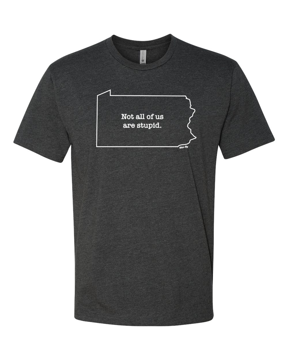 Charcoal heather t-shirt with white text reading 'Not All of Us are Stupid' and Pennsylvania state outline design