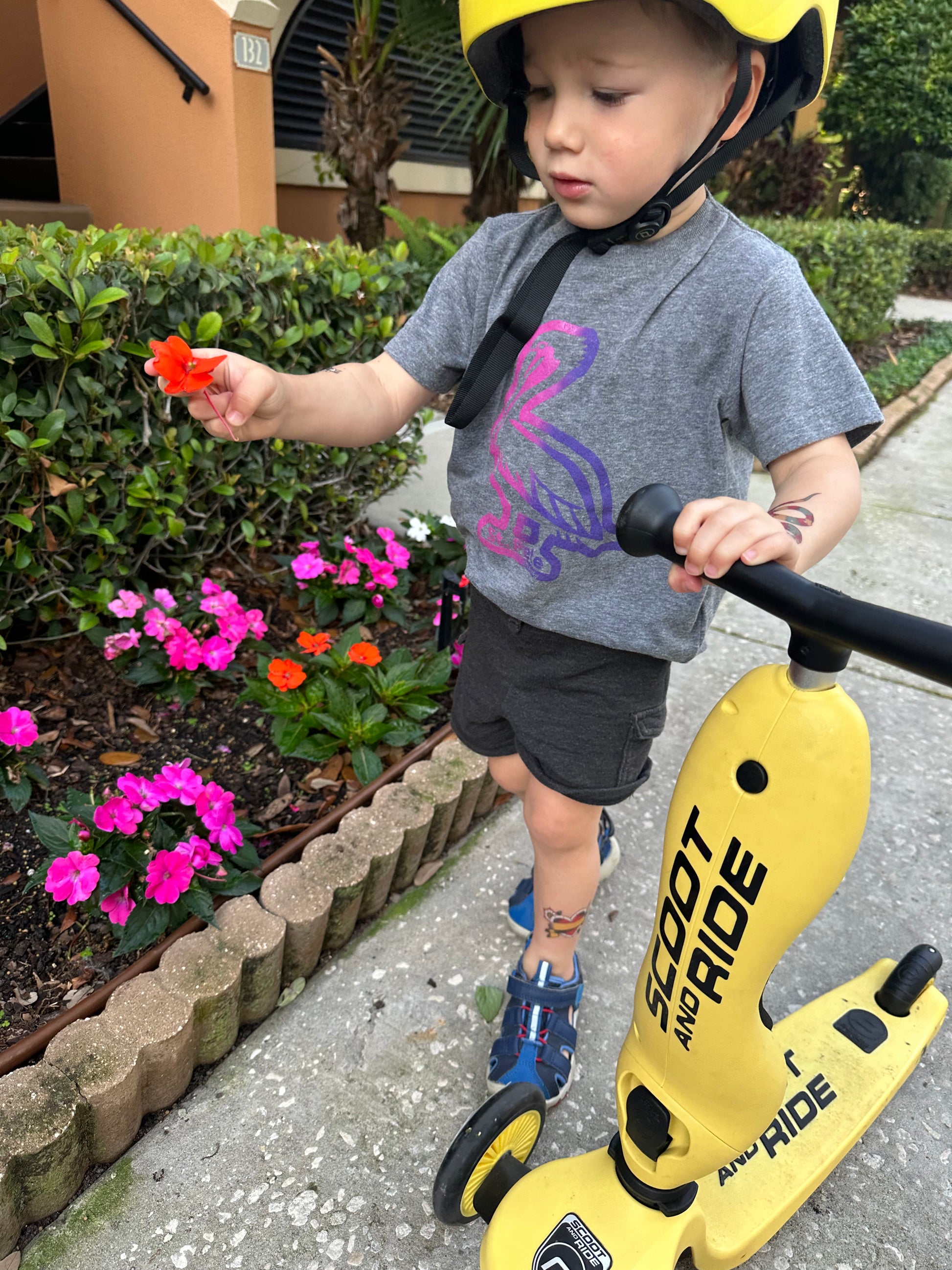 Boy picking flowers with his scooter wearing kids St. Pete pelican t-shirt on heather grey - children's Florida bird shirt in pink and purple